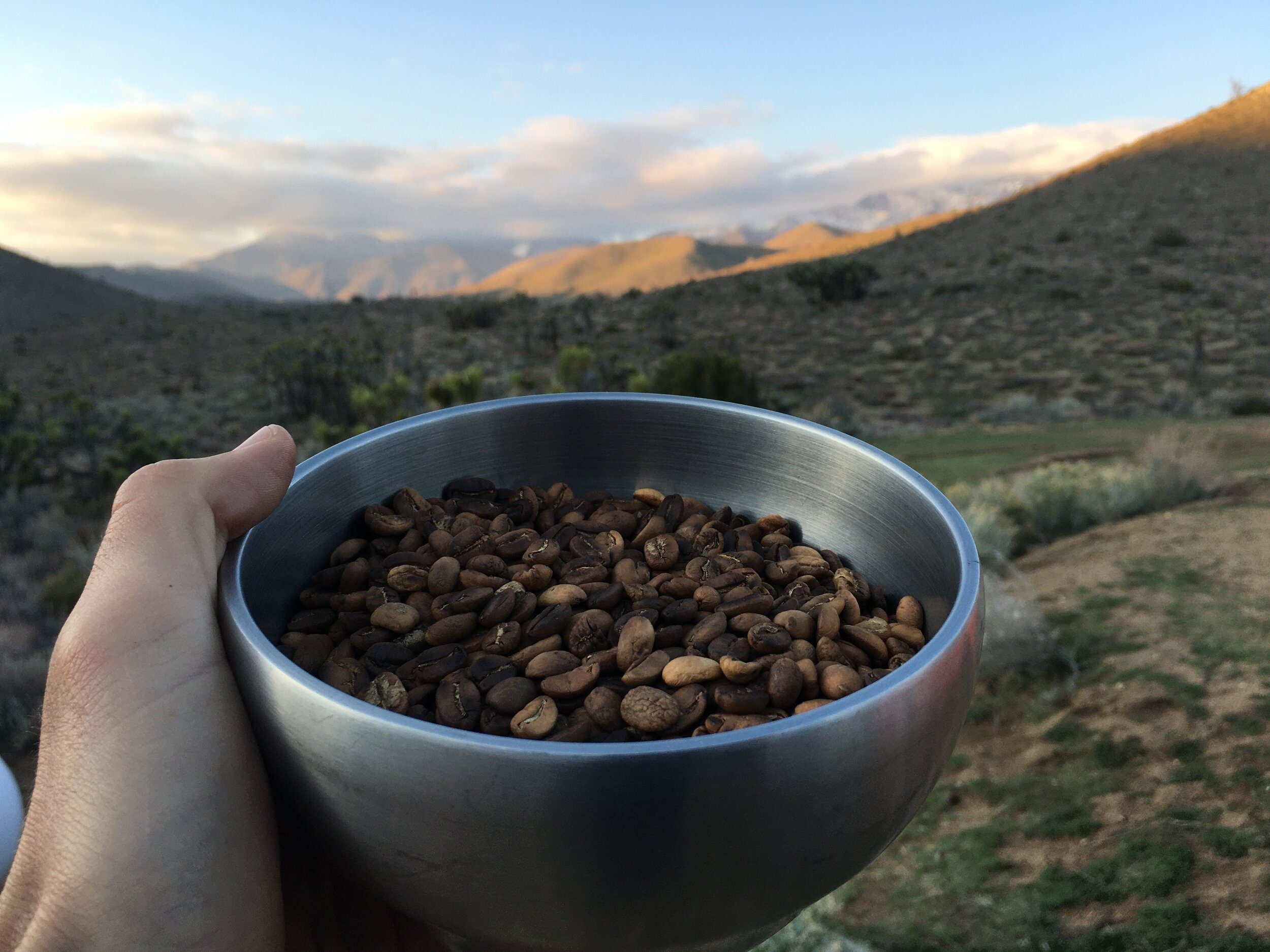 coffee.jpg