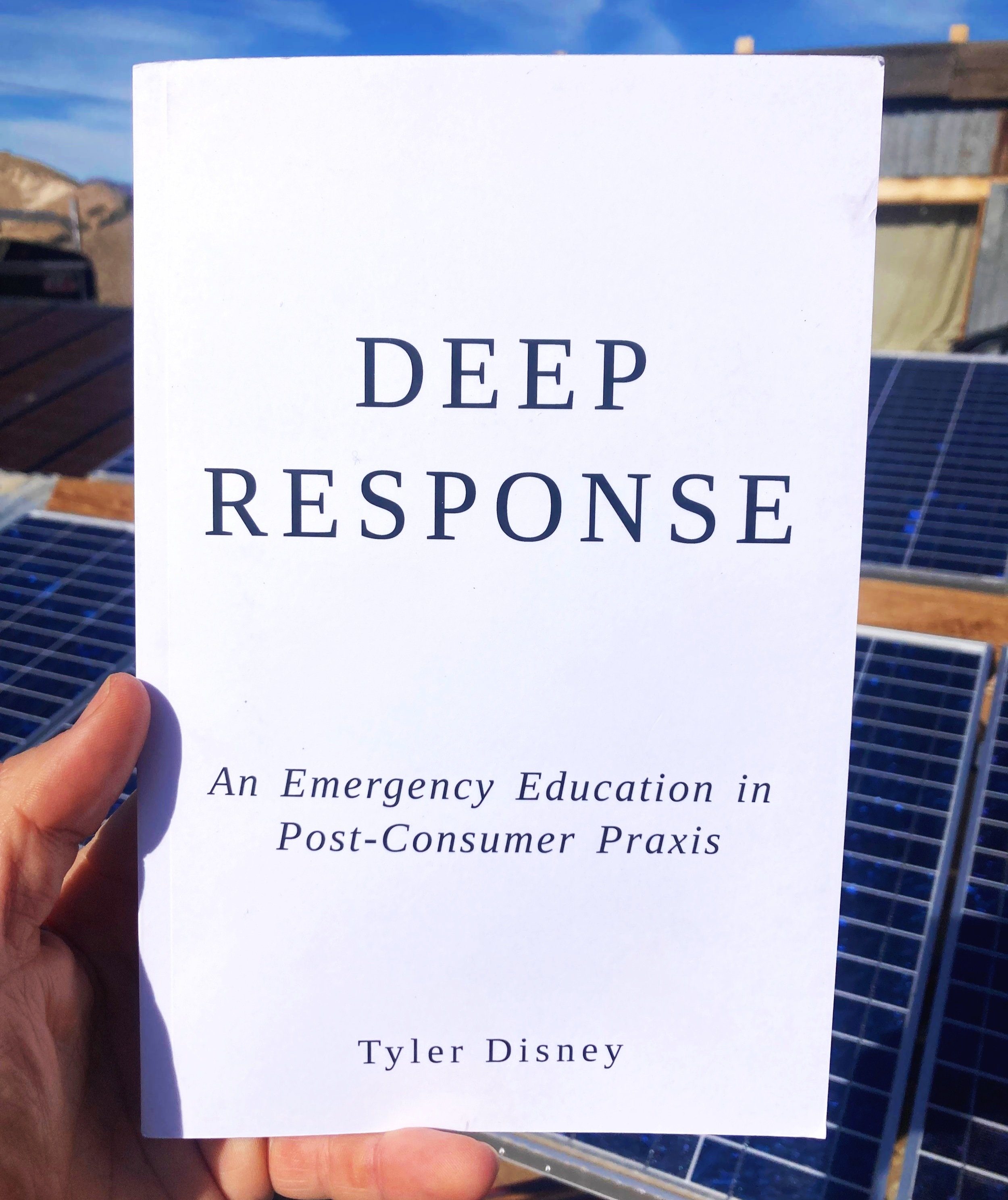 Deep Response book cover